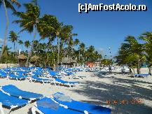 [P28] din nou plaja,libera la 8 dimineata, veneau destul de traziu,desi se trezeau devreme oamenii pe acolo » foto by andreea72
 - 
<span class="allrVoted glyphicon glyphicon-heart hidden" id="av313062"></span>
<a class="m-l-10 hidden" id="sv313062" onclick="voting_Foto_DelVot(,313062,9056)" role="button">șterge vot <span class="glyphicon glyphicon-remove"></span></a>
<a id="v9313062" class=" c-red"  onclick="voting_Foto_SetVot(313062)" role="button"><span class="glyphicon glyphicon-heart-empty"></span> <b>LIKE</b> = Votează poza</a> <img class="hidden"  id="f313062W9" src="/imagini/loader.gif" border="0" /><span class="AjErrMes hidden" id="e313062ErM"></span>