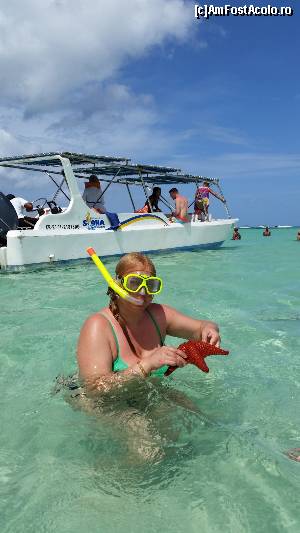 [P08] Locul numit ,,Natural pool', Marea Caraibe » foto by roloback
 - 
<span class="allrVoted glyphicon glyphicon-heart hidden" id="av644600"></span>
<a class="m-l-10 hidden" id="sv644600" onclick="voting_Foto_DelVot(,644600,9056)" role="button">șterge vot <span class="glyphicon glyphicon-remove"></span></a>
<a id="v9644600" class=" c-red"  onclick="voting_Foto_SetVot(644600)" role="button"><span class="glyphicon glyphicon-heart-empty"></span> <b>LIKE</b> = Votează poza</a> <img class="hidden"  id="f644600W9" src="/imagini/loader.gif" border="0" /><span class="AjErrMes hidden" id="e644600ErM"></span>