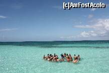 [P17]  -- <small>// FĂRĂ DESCRIERE</small> » foto by bd
 - 
<span class="allrVoted glyphicon glyphicon-heart hidden" id="av237370"></span>
<a class="m-l-10 hidden" id="sv237370" onclick="voting_Foto_DelVot(,237370,9056)" role="button">șterge vot <span class="glyphicon glyphicon-remove"></span></a>
<a id="v9237370" class=" c-red"  onclick="voting_Foto_SetVot(237370)" role="button"><span class="glyphicon glyphicon-heart-empty"></span> <b>LIKE</b> = Votează poza</a> <img class="hidden"  id="f237370W9" src="/imagini/loader.gif" border="0" /><span class="AjErrMes hidden" id="e237370ErM"></span>