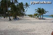 [P05]  -- <small>// FĂRĂ DESCRIERE</small> » foto by bd
 - 
<span class="allrVoted glyphicon glyphicon-heart hidden" id="av237358"></span>
<a class="m-l-10 hidden" id="sv237358" onclick="voting_Foto_DelVot(,237358,9056)" role="button">șterge vot <span class="glyphicon glyphicon-remove"></span></a>
<a id="v9237358" class=" c-red"  onclick="voting_Foto_SetVot(237358)" role="button"><span class="glyphicon glyphicon-heart-empty"></span> <b>LIKE</b> = Votează poza</a> <img class="hidden"  id="f237358W9" src="/imagini/loader.gif" border="0" /><span class="AjErrMes hidden" id="e237358ErM"></span>