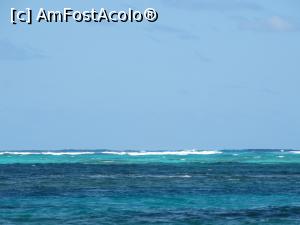 [P11] coloritul extrem de frumos al apei » foto by robert
 - 
<span class="allrVoted glyphicon glyphicon-heart hidden" id="av946337"></span>
<a class="m-l-10 hidden" id="sv946337" onclick="voting_Foto_DelVot(,946337,9056)" role="button">șterge vot <span class="glyphicon glyphicon-remove"></span></a>
<a id="v9946337" class=" c-red"  onclick="voting_Foto_SetVot(946337)" role="button"><span class="glyphicon glyphicon-heart-empty"></span> <b>LIKE</b> = Votează poza</a> <img class="hidden"  id="f946337W9" src="/imagini/loader.gif" border="0" /><span class="AjErrMes hidden" id="e946337ErM"></span>