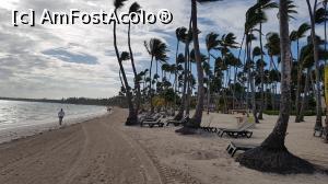 [P17] chiar nu mă pot sătura de ea » foto by robert
 - 
<span class="allrVoted glyphicon glyphicon-heart hidden" id="av946347"></span>
<a class="m-l-10 hidden" id="sv946347" onclick="voting_Foto_DelVot(,946347,9056)" role="button">șterge vot <span class="glyphicon glyphicon-remove"></span></a>
<a id="v9946347" class=" c-red"  onclick="voting_Foto_SetVot(946347)" role="button"><span class="glyphicon glyphicon-heart-empty"></span> <b>LIKE</b> = Votează poza</a> <img class="hidden"  id="f946347W9" src="/imagini/loader.gif" border="0" /><span class="AjErrMes hidden" id="e946347ErM"></span>