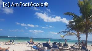 [P19] la umbra falnicului palmier » foto by robert
 - 
<span class="allrVoted glyphicon glyphicon-heart hidden" id="av946349"></span>
<a class="m-l-10 hidden" id="sv946349" onclick="voting_Foto_DelVot(,946349,9056)" role="button">șterge vot <span class="glyphicon glyphicon-remove"></span></a>
<a id="v9946349" class=" c-red"  onclick="voting_Foto_SetVot(946349)" role="button"><span class="glyphicon glyphicon-heart-empty"></span> <b>LIKE</b> = Votează poza</a> <img class="hidden"  id="f946349W9" src="/imagini/loader.gif" border="0" /><span class="AjErrMes hidden" id="e946349ErM"></span>