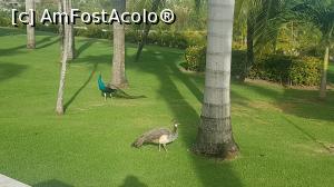 [P39]  -- <small>// FĂRĂ DESCRIERE</small> » foto by robert
 - 
<span class="allrVoted glyphicon glyphicon-heart hidden" id="av946372"></span>
<a class="m-l-10 hidden" id="sv946372" onclick="voting_Foto_DelVot(,946372,9056)" role="button">șterge vot <span class="glyphicon glyphicon-remove"></span></a>
<a id="v9946372" class=" c-red"  onclick="voting_Foto_SetVot(946372)" role="button"><span class="glyphicon glyphicon-heart-empty"></span> <b>LIKE</b> = Votează poza</a> <img class="hidden"  id="f946372W9" src="/imagini/loader.gif" border="0" /><span class="AjErrMes hidden" id="e946372ErM"></span>