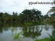 [P01]  -- <small>// FĂRĂ DESCRIERE</small> » foto by monicaisopescu
 - 
<span class="allrVoted glyphicon glyphicon-heart hidden" id="av341306"></span>
<a class="m-l-10 hidden" id="sv341306" onclick="voting_Foto_DelVot(,341306,9056)" role="button">șterge vot <span class="glyphicon glyphicon-remove"></span></a>
<a id="v9341306" class=" c-red"  onclick="voting_Foto_SetVot(341306)" role="button"><span class="glyphicon glyphicon-heart-empty"></span> <b>LIKE</b> = Votează poza</a> <img class="hidden"  id="f341306W9" src="/imagini/loader.gif" border="0" /><span class="AjErrMes hidden" id="e341306ErM"></span>