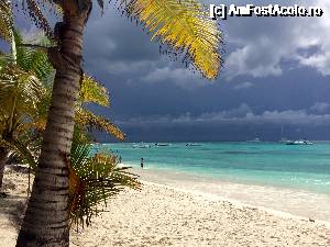 [P04] Insula Saona » foto by popcristian
 - 
<span class="allrVoted glyphicon glyphicon-heart hidden" id="av691859"></span>
<a class="m-l-10 hidden" id="sv691859" onclick="voting_Foto_DelVot(,691859,9056)" role="button">șterge vot <span class="glyphicon glyphicon-remove"></span></a>
<a id="v9691859" class=" c-red"  onclick="voting_Foto_SetVot(691859)" role="button"><span class="glyphicon glyphicon-heart-empty"></span> <b>LIKE</b> = Votează poza</a> <img class="hidden"  id="f691859W9" src="/imagini/loader.gif" border="0" /><span class="AjErrMes hidden" id="e691859ErM"></span>