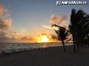 [P08] Plaja Hotel » foto by popcristian
 - 
<span class="allrVoted glyphicon glyphicon-heart hidden" id="av691863"></span>
<a class="m-l-10 hidden" id="sv691863" onclick="voting_Foto_DelVot(,691863,9056)" role="button">șterge vot <span class="glyphicon glyphicon-remove"></span></a>
<a id="v9691863" class=" c-red"  onclick="voting_Foto_SetVot(691863)" role="button"><span class="glyphicon glyphicon-heart-empty"></span> <b>LIKE</b> = Votează poza</a> <img class="hidden"  id="f691863W9" src="/imagini/loader.gif" border="0" /><span class="AjErrMes hidden" id="e691863ErM"></span>