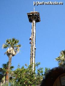 [P40] Hurakan Condor » foto by bitnic
 - 
<span class="allrVoted glyphicon glyphicon-heart hidden" id="av348291"></span>
<a class="m-l-10 hidden" id="sv348291" onclick="voting_Foto_DelVot(,348291,9107)" role="button">șterge vot <span class="glyphicon glyphicon-remove"></span></a>
<a id="v9348291" class=" c-red"  onclick="voting_Foto_SetVot(348291)" role="button"><span class="glyphicon glyphicon-heart-empty"></span> <b>LIKE</b> = Votează poza</a> <img class="hidden"  id="f348291W9" src="/imagini/loader.gif" border="0" /><span class="AjErrMes hidden" id="e348291ErM"></span>