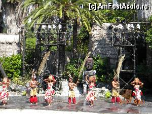 [P51] Spectacolul 'Aloha Tahiti' » foto by bitnic
 - 
<span class="allrVoted glyphicon glyphicon-heart hidden" id="av350370"></span>
<a class="m-l-10 hidden" id="sv350370" onclick="voting_Foto_DelVot(,350370,9107)" role="button">șterge vot <span class="glyphicon glyphicon-remove"></span></a>
<a id="v9350370" class=" c-red"  onclick="voting_Foto_SetVot(350370)" role="button"><span class="glyphicon glyphicon-heart-empty"></span> <b>LIKE</b> = Votează poza</a> <img class="hidden"  id="f350370W9" src="/imagini/loader.gif" border="0" /><span class="AjErrMes hidden" id="e350370ErM"></span>