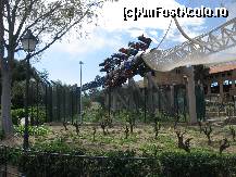 [P04] furius baco » foto by papone
 - 
<span class="allrVoted glyphicon glyphicon-heart hidden" id="av494835"></span>
<a class="m-l-10 hidden" id="sv494835" onclick="voting_Foto_DelVot(,494835,9107)" role="button">șterge vot <span class="glyphicon glyphicon-remove"></span></a>
<a id="v9494835" class=" c-red"  onclick="voting_Foto_SetVot(494835)" role="button"><span class="glyphicon glyphicon-heart-empty"></span> <b>LIKE</b> = Votează poza</a> <img class="hidden"  id="f494835W9" src="/imagini/loader.gif" border="0" /><span class="AjErrMes hidden" id="e494835ErM"></span>