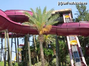 [P26] El Torente – se văd bărcuţele care urcă singure » foto by cdiana
 - 
<span class="allrVoted glyphicon glyphicon-heart hidden" id="av532241"></span>
<a class="m-l-10 hidden" id="sv532241" onclick="voting_Foto_DelVot(,532241,9107)" role="button">șterge vot <span class="glyphicon glyphicon-remove"></span></a>
<a id="v9532241" class=" c-red"  onclick="voting_Foto_SetVot(532241)" role="button"><span class="glyphicon glyphicon-heart-empty"></span> <b>LIKE</b> = Votează poza</a> <img class="hidden"  id="f532241W9" src="/imagini/loader.gif" border="0" /><span class="AjErrMes hidden" id="e532241ErM"></span>