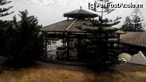 [P32] Tea Cups » foto by cdiana
 - 
<span class="allrVoted glyphicon glyphicon-heart hidden" id="av533289"></span>
<a class="m-l-10 hidden" id="sv533289" onclick="voting_Foto_DelVot(,533289,9107)" role="button">șterge vot <span class="glyphicon glyphicon-remove"></span></a>
<a id="v9533289" class=" c-red"  onclick="voting_Foto_SetVot(533289)" role="button"><span class="glyphicon glyphicon-heart-empty"></span> <b>LIKE</b> = Votează poza</a> <img class="hidden"  id="f533289W9" src="/imagini/loader.gif" border="0" /><span class="AjErrMes hidden" id="e533289ErM"></span>