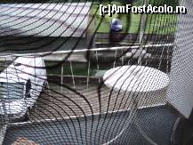 [P04] terasa » foto by TORA INGRID
 - 
<span class="allrVoted glyphicon glyphicon-heart hidden" id="av227888"></span>
<a class="m-l-10 hidden" id="sv227888" onclick="voting_Foto_DelVot(,227888,9122)" role="button">șterge vot <span class="glyphicon glyphicon-remove"></span></a>
<a id="v9227888" class=" c-red"  onclick="voting_Foto_SetVot(227888)" role="button"><span class="glyphicon glyphicon-heart-empty"></span> <b>LIKE</b> = Votează poza</a> <img class="hidden"  id="f227888W9" src="/imagini/loader.gif" border="0" /><span class="AjErrMes hidden" id="e227888ErM"></span>