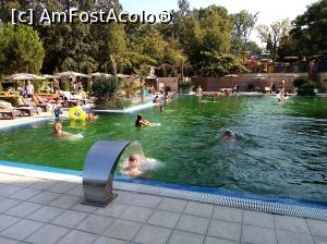 [P04] una din piscine » foto by simona_vlad
 - 
<span class="allrVoted glyphicon glyphicon-heart hidden" id="av1185144"></span>
<a class="m-l-10 hidden" id="sv1185144" onclick="voting_Foto_DelVot(,1185144,9135)" role="button">șterge vot <span class="glyphicon glyphicon-remove"></span></a>
<a id="v91185144" class=" c-red"  onclick="voting_Foto_SetVot(1185144)" role="button"><span class="glyphicon glyphicon-heart-empty"></span> <b>LIKE</b> = Votează poza</a> <img class="hidden"  id="f1185144W9" src="/imagini/loader.gif" border="0" /><span class="AjErrMes hidden" id="e1185144ErM"></span>