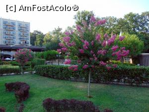 [P08]  -- <small>// FĂRĂ DESCRIERE</small> » foto by cristisch2003
 - 
<span class="allrVoted glyphicon glyphicon-heart hidden" id="av1097075"></span>
<a class="m-l-10 hidden" id="sv1097075" onclick="voting_Foto_DelVot(,1097075,9135)" role="button">șterge vot <span class="glyphicon glyphicon-remove"></span></a>
<a id="v91097075" class=" c-red"  onclick="voting_Foto_SetVot(1097075)" role="button"><span class="glyphicon glyphicon-heart-empty"></span> <b>LIKE</b> = Votează poza</a> <img class="hidden"  id="f1097075W9" src="/imagini/loader.gif" border="0" /><span class="AjErrMes hidden" id="e1097075ErM"></span>