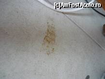[P03] deci am luat si am spalat eu camera avand in vedere ca eram cu doi copii » foto by vraj
 - 
<span class="allrVoted glyphicon glyphicon-heart hidden" id="av351137"></span>
<a class="m-l-10 hidden" id="sv351137" onclick="voting_Foto_DelVot(,351137,9173)" role="button">șterge vot <span class="glyphicon glyphicon-remove"></span></a>
<a id="v9351137" class=" c-red"  onclick="voting_Foto_SetVot(351137)" role="button"><span class="glyphicon glyphicon-heart-empty"></span> <b>LIKE</b> = Votează poza</a> <img class="hidden"  id="f351137W9" src="/imagini/loader.gif" border="0" /><span class="AjErrMes hidden" id="e351137ErM"></span>