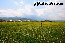 [P01] camp de papadii la Rasnov » foto by MANDACHE
 - 
<span class="allrVoted glyphicon glyphicon-heart hidden" id="av212681"></span>
<a class="m-l-10 hidden" id="sv212681" onclick="voting_Foto_DelVot(,212681,9176)" role="button">șterge vot <span class="glyphicon glyphicon-remove"></span></a>
<a id="v9212681" class=" c-red"  onclick="voting_Foto_SetVot(212681)" role="button"><span class="glyphicon glyphicon-heart-empty"></span> <b>LIKE</b> = Votează poza</a> <img class="hidden"  id="f212681W9" src="/imagini/loader.gif" border="0" /><span class="AjErrMes hidden" id="e212681ErM"></span>