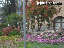 [P14] vegetatie mediteraneana pe costa » foto by curcubeu
 - 
<span class="allrVoted glyphicon glyphicon-heart hidden" id="av213178"></span>
<a class="m-l-10 hidden" id="sv213178" onclick="voting_Foto_DelVot(,213178,9192)" role="button">șterge vot <span class="glyphicon glyphicon-remove"></span></a>
<a id="v9213178" class=" c-red"  onclick="voting_Foto_SetVot(213178)" role="button"><span class="glyphicon glyphicon-heart-empty"></span> <b>LIKE</b> = Votează poza</a> <img class="hidden"  id="f213178W9" src="/imagini/loader.gif" border="0" /><span class="AjErrMes hidden" id="e213178ErM"></span>