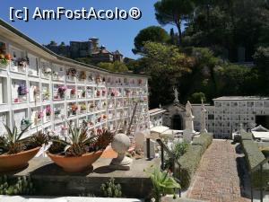 [P26] Cimitirul din spatele bisericii » foto by crismis
 - 
<span class="allrVoted glyphicon glyphicon-heart hidden" id="av935826"></span>
<a class="m-l-10 hidden" id="sv935826" onclick="voting_Foto_DelVot(,935826,9192)" role="button">șterge vot <span class="glyphicon glyphicon-remove"></span></a>
<a id="v9935826" class=" c-red"  onclick="voting_Foto_SetVot(935826)" role="button"><span class="glyphicon glyphicon-heart-empty"></span> <b>LIKE</b> = Votează poza</a> <img class="hidden"  id="f935826W9" src="/imagini/loader.gif" border="0" /><span class="AjErrMes hidden" id="e935826ErM"></span>