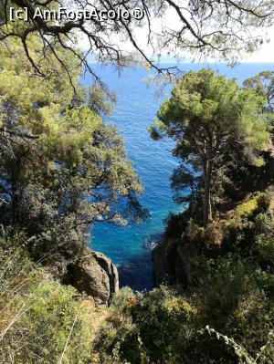 [P36] Portofino » foto by crismis
 - 
<span class="allrVoted glyphicon glyphicon-heart hidden" id="av935836"></span>
<a class="m-l-10 hidden" id="sv935836" onclick="voting_Foto_DelVot(,935836,9192)" role="button">șterge vot <span class="glyphicon glyphicon-remove"></span></a>
<a id="v9935836" class=" c-red"  onclick="voting_Foto_SetVot(935836)" role="button"><span class="glyphicon glyphicon-heart-empty"></span> <b>LIKE</b> = Votează poza</a> <img class="hidden"  id="f935836W9" src="/imagini/loader.gif" border="0" /><span class="AjErrMes hidden" id="e935836ErM"></span>