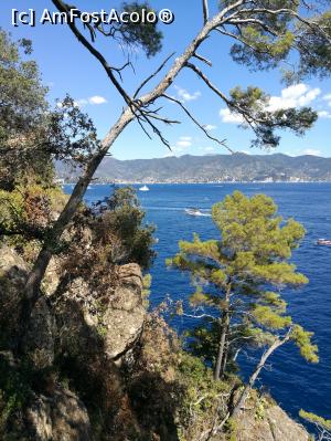 [P39] Portofino » foto by crismis
 - 
<span class="allrVoted glyphicon glyphicon-heart hidden" id="av935839"></span>
<a class="m-l-10 hidden" id="sv935839" onclick="voting_Foto_DelVot(,935839,9192)" role="button">șterge vot <span class="glyphicon glyphicon-remove"></span></a>
<a id="v9935839" class=" c-red"  onclick="voting_Foto_SetVot(935839)" role="button"><span class="glyphicon glyphicon-heart-empty"></span> <b>LIKE</b> = Votează poza</a> <img class="hidden"  id="f935839W9" src="/imagini/loader.gif" border="0" /><span class="AjErrMes hidden" id="e935839ErM"></span>