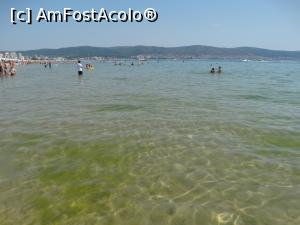 [P17] Apa limpede cu alge » foto by Kavarnap
 - 
<span class="allrVoted glyphicon glyphicon-heart hidden" id="av1238423"></span>
<a class="m-l-10 hidden" id="sv1238423" onclick="voting_Foto_DelVot(,1238423,9284)" role="button">șterge vot <span class="glyphicon glyphicon-remove"></span></a>
<a id="v91238423" class=" c-red"  onclick="voting_Foto_SetVot(1238423)" role="button"><span class="glyphicon glyphicon-heart-empty"></span> <b>LIKE</b> = Votează poza</a> <img class="hidden"  id="f1238423W9" src="/imagini/loader.gif" border="0" /><span class="AjErrMes hidden" id="e1238423ErM"></span>