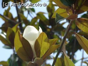 [P30] Un leandru &icirc;mbobodit l&acirc;ngă tobogane » foto by Kavarnap
 - 
<span class="allrVoted glyphicon glyphicon-heart hidden" id="av1238436"></span>
<a class="m-l-10 hidden" id="sv1238436" onclick="voting_Foto_DelVot(,1238436,9284)" role="button">șterge vot <span class="glyphicon glyphicon-remove"></span></a>
<a id="v91238436" class=" c-red"  onclick="voting_Foto_SetVot(1238436)" role="button"><span class="glyphicon glyphicon-heart-empty"></span> <b>LIKE</b> = Votează poza</a> <img class="hidden"  id="f1238436W9" src="/imagini/loader.gif" border="0" /><span class="AjErrMes hidden" id="e1238436ErM"></span>