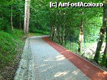 [P04] alee prin parc » foto by mona28
 - 
<span class="allrVoted glyphicon glyphicon-heart hidden" id="av218449"></span>
<a class="m-l-10 hidden" id="sv218449" onclick="voting_Foto_DelVot(,218449,9308)" role="button">șterge vot <span class="glyphicon glyphicon-remove"></span></a>
<a id="v9218449" class=" c-red"  onclick="voting_Foto_SetVot(218449)" role="button"><span class="glyphicon glyphicon-heart-empty"></span> <b>LIKE</b> = Votează poza</a> <img class="hidden"  id="f218449W9" src="/imagini/loader.gif" border="0" /><span class="AjErrMes hidden" id="e218449ErM"></span>