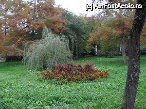 [P14] parcul cu nuferi » foto by bullterier
 - 
<span class="allrVoted glyphicon glyphicon-heart hidden" id="av477890"></span>
<a class="m-l-10 hidden" id="sv477890" onclick="voting_Foto_DelVot(,477890,9317)" role="button">șterge vot <span class="glyphicon glyphicon-remove"></span></a>
<a id="v9477890" class=" c-red"  onclick="voting_Foto_SetVot(477890)" role="button"><span class="glyphicon glyphicon-heart-empty"></span> <b>LIKE</b> = Votează poza</a> <img class="hidden"  id="f477890W9" src="/imagini/loader.gif" border="0" /><span class="AjErrMes hidden" id="e477890ErM"></span>