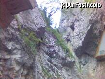 [P04] Excursie la Cheile Bicazului - 2006 - lumina abia strabate printre stanci » foto by valimi
 - 
<span class="allrVoted glyphicon glyphicon-heart hidden" id="av166241"></span>
<a class="m-l-10 hidden" id="sv166241" onclick="voting_Foto_DelVot(,166241,9349)" role="button">șterge vot <span class="glyphicon glyphicon-remove"></span></a>
<a id="v9166241" class=" c-red"  onclick="voting_Foto_SetVot(166241)" role="button"><span class="glyphicon glyphicon-heart-empty"></span> <b>LIKE</b> = Votează poza</a> <img class="hidden"  id="f166241W9" src="/imagini/loader.gif" border="0" /><span class="AjErrMes hidden" id="e166241ErM"></span>