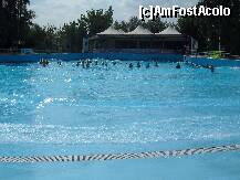 [P04]  -- <small>// FĂRĂ DESCRIERE</small> » foto by aliantasudului
 - 
<span class="allrVoted glyphicon glyphicon-heart hidden" id="av255815"></span>
<a class="m-l-10 hidden" id="sv255815" onclick="voting_Foto_DelVot(,255815,9369)" role="button">șterge vot <span class="glyphicon glyphicon-remove"></span></a>
<a id="v9255815" class=" c-red"  onclick="voting_Foto_SetVot(255815)" role="button"><span class="glyphicon glyphicon-heart-empty"></span> <b>LIKE</b> = Votează poza</a> <img class="hidden"  id="f255815W9" src="/imagini/loader.gif" border="0" /><span class="AjErrMes hidden" id="e255815ErM"></span>