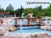 [P04]  -- <small>// FĂRĂ DESCRIERE</small> » foto by suvi_85
 - 
<span class="allrVoted glyphicon glyphicon-heart hidden" id="av319296"></span>
<a class="m-l-10 hidden" id="sv319296" onclick="voting_Foto_DelVot(,319296,9369)" role="button">șterge vot <span class="glyphicon glyphicon-remove"></span></a>
<a id="v9319296" class=" c-red"  onclick="voting_Foto_SetVot(319296)" role="button"><span class="glyphicon glyphicon-heart-empty"></span> <b>LIKE</b> = Votează poza</a> <img class="hidden"  id="f319296W9" src="/imagini/loader.gif" border="0" /><span class="AjErrMes hidden" id="e319296ErM"></span>