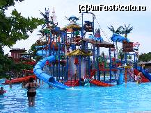 [P05]  -- <small>// FĂRĂ DESCRIERE</small> » foto by suvi_85
 - 
<span class="allrVoted glyphicon glyphicon-heart hidden" id="av319297"></span>
<a class="m-l-10 hidden" id="sv319297" onclick="voting_Foto_DelVot(,319297,9369)" role="button">șterge vot <span class="glyphicon glyphicon-remove"></span></a>
<a id="v9319297" class=" c-red"  onclick="voting_Foto_SetVot(319297)" role="button"><span class="glyphicon glyphicon-heart-empty"></span> <b>LIKE</b> = Votează poza</a> <img class="hidden"  id="f319297W9" src="/imagini/loader.gif" border="0" /><span class="AjErrMes hidden" id="e319297ErM"></span>