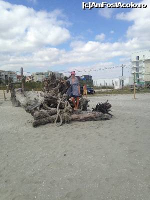 [P01]  -- <small>// FĂRĂ DESCRIERE</small> » foto by cameliagrozescu
 - 
<span class="allrVoted glyphicon glyphicon-heart hidden" id="av704632"></span>
<a class="m-l-10 hidden" id="sv704632" onclick="voting_Foto_DelVot(,704632,9434)" role="button">șterge vot <span class="glyphicon glyphicon-remove"></span></a>
<a id="v9704632" class=" c-red"  onclick="voting_Foto_SetVot(704632)" role="button"><span class="glyphicon glyphicon-heart-empty"></span> <b>LIKE</b> = Votează poza</a> <img class="hidden"  id="f704632W9" src="/imagini/loader.gif" border="0" /><span class="AjErrMes hidden" id="e704632ErM"></span>
