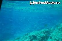 [P08] Pesti ... foto facuta din submarinul galben » foto by cvm2006
 - 
<span class="allrVoted glyphicon glyphicon-heart hidden" id="av225167"></span>
<a class="m-l-10 hidden" id="sv225167" onclick="voting_Foto_DelVot(,225167,9439)" role="button">șterge vot <span class="glyphicon glyphicon-remove"></span></a>
<a id="v9225167" class=" c-red"  onclick="voting_Foto_SetVot(225167)" role="button"><span class="glyphicon glyphicon-heart-empty"></span> <b>LIKE</b> = Votează poza</a> <img class="hidden"  id="f225167W9" src="/imagini/loader.gif" border="0" /><span class="AjErrMes hidden" id="e225167ErM"></span>