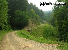 [P02] Drum forestier Pîrîul Opleanu. (DF 2 - în clasificarea mea...) Nu l-am marcat pe poza din Google Earth. Facilitează accesul la cîteva poieni de pe stînga Pîrîului Doamna şi evident... la Vîrful Opleanu. » foto by Qvadratvus
 - 
<span class="allrVoted glyphicon glyphicon-heart hidden" id="av223194"></span>
<a class="m-l-10 hidden" id="sv223194" onclick="voting_Foto_DelVot(,223194,9454)" role="button">șterge vot <span class="glyphicon glyphicon-remove"></span></a>
<a id="v9223194" class=" c-red"  onclick="voting_Foto_SetVot(223194)" role="button"><span class="glyphicon glyphicon-heart-empty"></span> <b>LIKE</b> = Votează poza</a> <img class="hidden"  id="f223194W9" src="/imagini/loader.gif" border="0" /><span class="AjErrMes hidden" id="e223194ErM"></span>