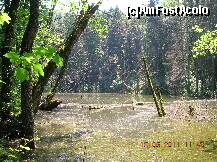 [P01] Lacul Veselaru - în plină sălbăticie. E amuzant să încerci să ocoleşti situl ... » foto by Qvadratvus
 - 
<span class="allrVoted glyphicon glyphicon-heart hidden" id="av224914"></span>
<a class="m-l-10 hidden" id="sv224914" onclick="voting_Foto_DelVot(,224914,9454)" role="button">șterge vot <span class="glyphicon glyphicon-remove"></span></a>
<a id="v9224914" class=" c-red"  onclick="voting_Foto_SetVot(224914)" role="button"><span class="glyphicon glyphicon-heart-empty"></span> <b>LIKE</b> = Votează poza</a> <img class="hidden"  id="f224914W9" src="/imagini/loader.gif" border="0" /><span class="AjErrMes hidden" id="e224914ErM"></span>