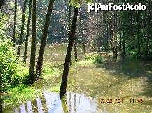 [P02] Lacul Veselaru - altă perspectivă. Observaţi malul din dreapta, desişul coboară pînă la nivelul apei. Cam greu să-i dai înconjor, nu ? (există totuşi o cale ceva mai facilă pe stînga...) » foto by Qvadratvus
 - 
<span class="allrVoted glyphicon glyphicon-heart hidden" id="av224915"></span>
<a class="m-l-10 hidden" id="sv224915" onclick="voting_Foto_DelVot(,224915,9454)" role="button">șterge vot <span class="glyphicon glyphicon-remove"></span></a>
<a id="v9224915" class=" c-red"  onclick="voting_Foto_SetVot(224915)" role="button"><span class="glyphicon glyphicon-heart-empty"></span> <b>LIKE</b> = Votează poza</a> <img class="hidden"  id="f224915W9" src="/imagini/loader.gif" border="0" /><span class="AjErrMes hidden" id="e224915ErM"></span>
