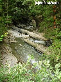 [P07] Ieşirea din Cheile Bolovănişului - Cascada din aval - în prim plan marmitele, în planul secund sifonul. » foto by Qvadratvus
 - 
<span class="allrVoted glyphicon glyphicon-heart hidden" id="av255367"></span>
<a class="m-l-10 hidden" id="sv255367" onclick="voting_Foto_DelVot(,255367,9454)" role="button">șterge vot <span class="glyphicon glyphicon-remove"></span></a>
<a id="v9255367" class=" c-red"  onclick="voting_Foto_SetVot(255367)" role="button"><span class="glyphicon glyphicon-heart-empty"></span> <b>LIKE</b> = Votează poza</a> <img class="hidden"  id="f255367W9" src="/imagini/loader.gif" border="0" /><span class="AjErrMes hidden" id="e255367ErM"></span>