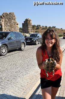 [P03] O broasca testoasa (caretta caretta) ajutata de copii sa traverseze strada (altfel cred ca mai asteptam si acum sa trecem) » foto by SebCom
 - 
<span class="allrVoted glyphicon glyphicon-heart hidden" id="av226316"></span>
<a class="m-l-10 hidden" id="sv226316" onclick="voting_Foto_DelVot(,226316,9468)" role="button">șterge vot <span class="glyphicon glyphicon-remove"></span></a>
<a id="v9226316" class=" c-red"  onclick="voting_Foto_SetVot(226316)" role="button"><span class="glyphicon glyphicon-heart-empty"></span> <b>LIKE</b> = Votează poza</a> <img class="hidden"  id="f226316W9" src="/imagini/loader.gif" border="0" /><span class="AjErrMes hidden" id="e226316ErM"></span>
