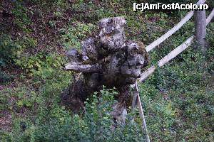 [P28] Butucul vrăjitoarei.  » foto by Utube
 - 
<span class="allrVoted glyphicon glyphicon-heart hidden" id="av350236"></span>
<a class="m-l-10 hidden" id="sv350236" onclick="voting_Foto_DelVot(,350236,9483)" role="button">șterge vot <span class="glyphicon glyphicon-remove"></span></a>
<a id="v9350236" class=" c-red"  onclick="voting_Foto_SetVot(350236)" role="button"><span class="glyphicon glyphicon-heart-empty"></span> <b>LIKE</b> = Votează poza</a> <img class="hidden"  id="f350236W9" src="/imagini/loader.gif" border="0" /><span class="AjErrMes hidden" id="e350236ErM"></span>