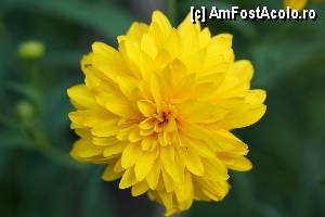 [P05]  -- <small>// FĂRĂ DESCRIERE</small> » foto by Utube
 - 
<span class="allrVoted glyphicon glyphicon-heart hidden" id="av350095"></span>
<a class="m-l-10 hidden" id="sv350095" onclick="voting_Foto_DelVot(,350095,9483)" role="button">șterge vot <span class="glyphicon glyphicon-remove"></span></a>
<a id="v9350095" class=" c-red"  onclick="voting_Foto_SetVot(350095)" role="button"><span class="glyphicon glyphicon-heart-empty"></span> <b>LIKE</b> = Votează poza</a> <img class="hidden"  id="f350095W9" src="/imagini/loader.gif" border="0" /><span class="AjErrMes hidden" id="e350095ErM"></span>