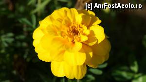 [P07]  -- <small>// FĂRĂ DESCRIERE</small> » foto by Utube
 - 
<span class="allrVoted glyphicon glyphicon-heart hidden" id="av350098"></span>
<a class="m-l-10 hidden" id="sv350098" onclick="voting_Foto_DelVot(,350098,9483)" role="button">șterge vot <span class="glyphicon glyphicon-remove"></span></a>
<a id="v9350098" class=" c-red"  onclick="voting_Foto_SetVot(350098)" role="button"><span class="glyphicon glyphicon-heart-empty"></span> <b>LIKE</b> = Votează poza</a> <img class="hidden"  id="f350098W9" src="/imagini/loader.gif" border="0" /><span class="AjErrMes hidden" id="e350098ErM"></span>