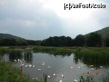 [P01] Cateva 'vecine' pe lac » foto by bitnic
 - 
<span class="allrVoted glyphicon glyphicon-heart hidden" id="av230497"></span>
<a class="m-l-10 hidden" id="sv230497" onclick="voting_Foto_DelVot(,230497,9538)" role="button">șterge vot <span class="glyphicon glyphicon-remove"></span></a>
<a id="v9230497" class=" c-red"  onclick="voting_Foto_SetVot(230497)" role="button"><span class="glyphicon glyphicon-heart-empty"></span> <b>LIKE</b> = Votează poza</a> <img class="hidden"  id="f230497W9" src="/imagini/loader.gif" border="0" /><span class="AjErrMes hidden" id="e230497ErM"></span>
