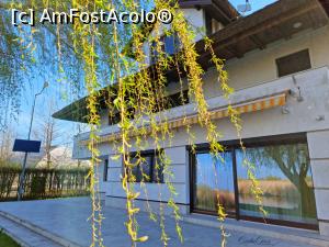 [P15]  -- <small>// FĂRĂ DESCRIERE</small> » foto by pepsi70ro
 - 
<span class="allrVoted glyphicon glyphicon-heart hidden" id="av1293120"></span>
<a class="m-l-10 hidden" id="sv1293120" onclick="voting_Foto_DelVot(,1293120,9574)" role="button">șterge vot <span class="glyphicon glyphicon-remove"></span></a>
<a id="v91293120" class=" c-red"  onclick="voting_Foto_SetVot(1293120)" role="button"><span class="glyphicon glyphicon-heart-empty"></span> <b>LIKE</b> = Votează poza</a> <img class="hidden"  id="f1293120W9" src="/imagini/loader.gif" border="0" /><span class="AjErrMes hidden" id="e1293120ErM"></span>