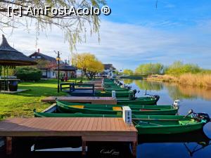 [P05]  -- <small>// FĂRĂ DESCRIERE</small> » foto by pepsi70ro
 - 
<span class="allrVoted glyphicon glyphicon-heart hidden" id="av1293110"></span>
<a class="m-l-10 hidden" id="sv1293110" onclick="voting_Foto_DelVot(,1293110,9574)" role="button">șterge vot <span class="glyphicon glyphicon-remove"></span></a>
<a id="v91293110" class=" c-red"  onclick="voting_Foto_SetVot(1293110)" role="button"><span class="glyphicon glyphicon-heart-empty"></span> <b>LIKE</b> = Votează poza</a> <img class="hidden"  id="f1293110W9" src="/imagini/loader.gif" border="0" /><span class="AjErrMes hidden" id="e1293110ErM"></span>