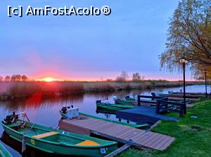 [P07]  -- <small>// FĂRĂ DESCRIERE</small> » foto by pepsi70ro
 - 
<span class="allrVoted glyphicon glyphicon-heart hidden" id="av1293112"></span>
<a class="m-l-10 hidden" id="sv1293112" onclick="voting_Foto_DelVot(,1293112,9574)" role="button">șterge vot <span class="glyphicon glyphicon-remove"></span></a>
<a id="v91293112" class=" c-red"  onclick="voting_Foto_SetVot(1293112)" role="button"><span class="glyphicon glyphicon-heart-empty"></span> <b>LIKE</b> = Votează poza</a> <img class="hidden"  id="f1293112W9" src="/imagini/loader.gif" border="0" /><span class="AjErrMes hidden" id="e1293112ErM"></span>