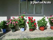 [P09] Manastirea Afteia - Flori. » foto by iulianic
 - 
<span class="allrVoted glyphicon glyphicon-heart hidden" id="av232163"></span>
<a class="m-l-10 hidden" id="sv232163" onclick="voting_Foto_DelVot(,232163,9589)" role="button">șterge vot <span class="glyphicon glyphicon-remove"></span></a>
<a id="v9232163" class=" c-red"  onclick="voting_Foto_SetVot(232163)" role="button"><span class="glyphicon glyphicon-heart-empty"></span> <b>LIKE</b> = Votează poza</a> <img class="hidden"  id="f232163W9" src="/imagini/loader.gif" border="0" /><span class="AjErrMes hidden" id="e232163ErM"></span>