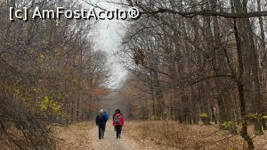 [P39] Drumul către Releul de telecomunicații de la Istrița » foto by k-lator
 - 
<span class="allrVoted glyphicon glyphicon-heart hidden" id="av1208111"></span>
<a class="m-l-10 hidden" id="sv1208111" onclick="voting_Foto_DelVot(,1208111,9590)" role="button">șterge vot <span class="glyphicon glyphicon-remove"></span></a>
<a id="v91208111" class=" c-red"  onclick="voting_Foto_SetVot(1208111)" role="button"><span class="glyphicon glyphicon-heart-empty"></span> <b>LIKE</b> = Votează poza</a> <img class="hidden"  id="f1208111W9" src="/imagini/loader.gif" border="0" /><span class="AjErrMes hidden" id="e1208111ErM"></span>