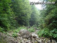 [P07] in drum spre cascada » foto by cosminrusea
 - 
<span class="allrVoted glyphicon glyphicon-heart hidden" id="av100364"></span>
<a class="m-l-10 hidden" id="sv100364" onclick="voting_Foto_DelVot(,100364,9594)" role="button">șterge vot <span class="glyphicon glyphicon-remove"></span></a>
<a id="v9100364" class=" c-red"  onclick="voting_Foto_SetVot(100364)" role="button"><span class="glyphicon glyphicon-heart-empty"></span> <b>LIKE</b> = Votează poza</a> <img class="hidden"  id="f100364W9" src="/imagini/loader.gif" border="0" /><span class="AjErrMes hidden" id="e100364ErM"></span>